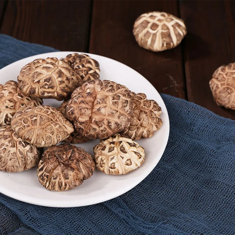 Выбранный вручную Сушеный Белый Органический цветок Shiitake гриб
