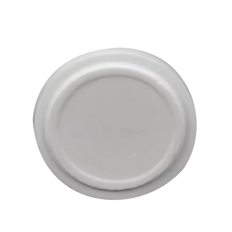 customizable 99% alumina ceramic flange disk Al2o3 disc plate with step