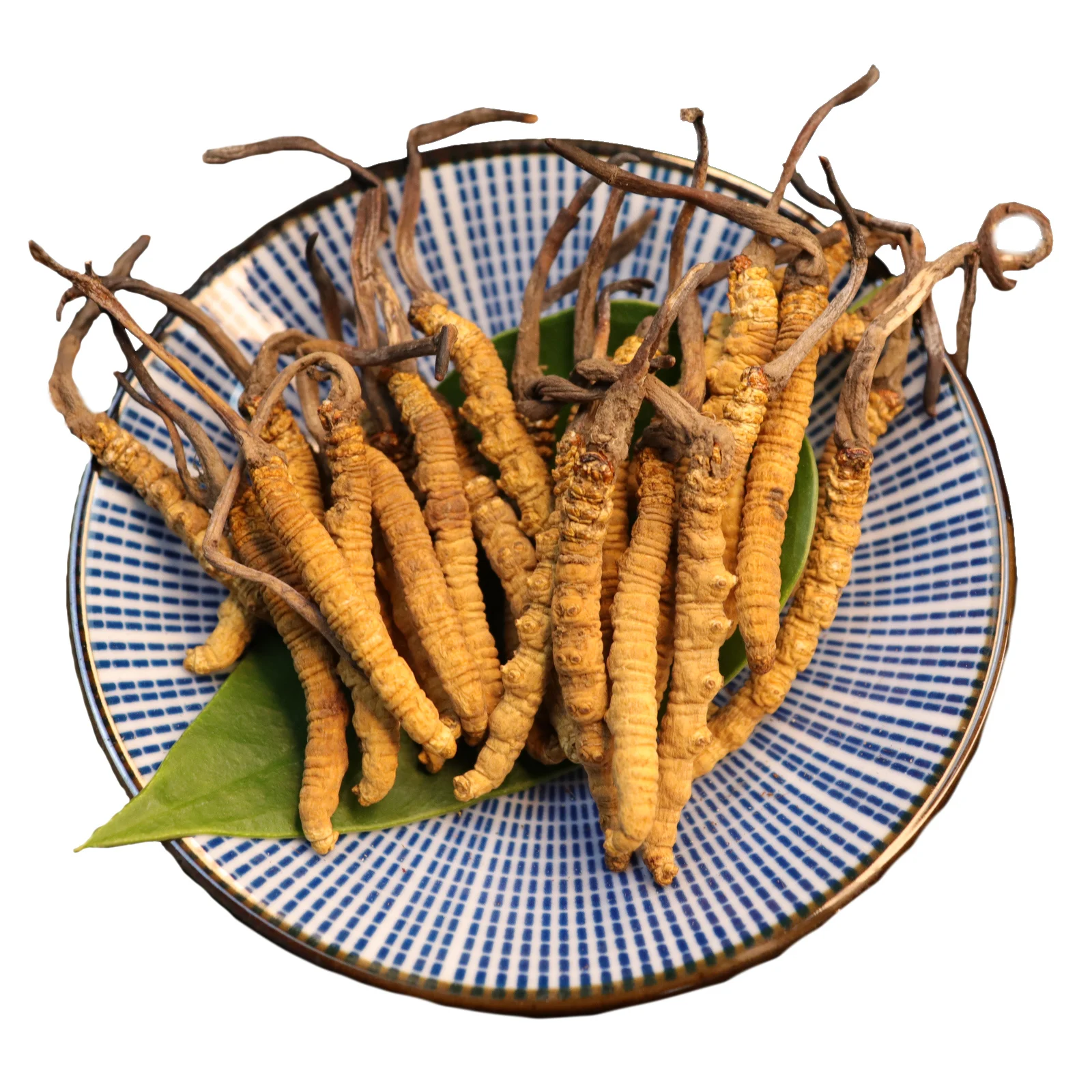 wholesale whole wild plant cordyceps mushroom Dried natural cordyceps sinensis mycelium