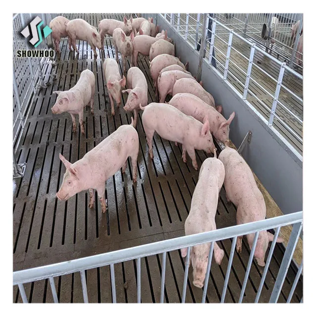 Design Structural Steel Prefab Agricultural Farm Buildings Pig Farm