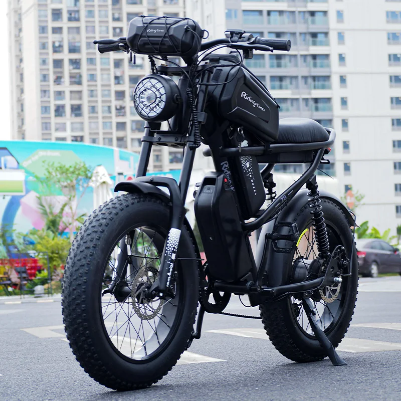 Wholesale 25kmh Fat Dirt e Bike 250W 500W Fast Electric Mountain Bicycle Eu Warehouse With Dual Battery