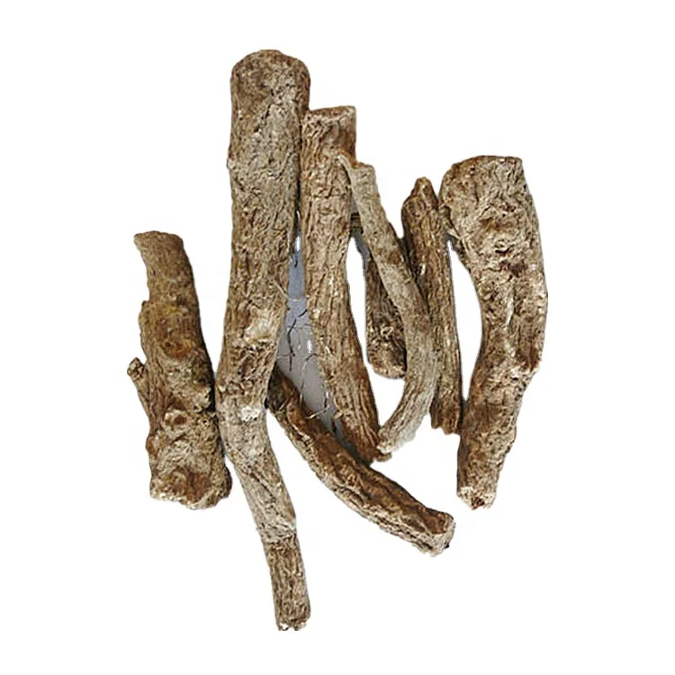 
Hot Sale Crude Medicinal Materials Costustoot 