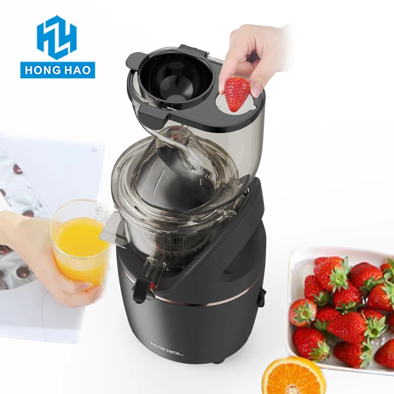 Factory Direct Multi-Function Commercial Cold Press Slow Juicer Ice Cream Smoothie and Vetable Fruit Juicer Mixer Machine