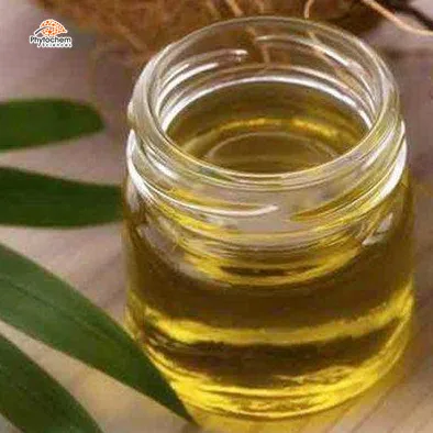 High quality for sales organic MCT powder coconut pure C8 Medium Chain Triglyceride Powder 50% -70% Fat CWD mct oil powder