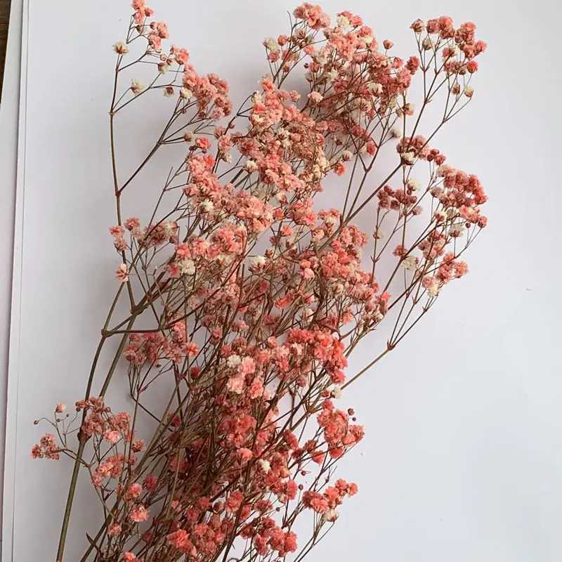  Домашний декор красивый красочный цветок babysbreath gysophila сохраненный гироскопиальный свадебное