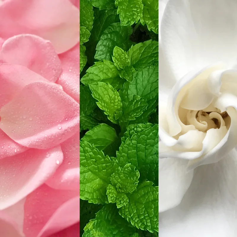 Facial Spray with Aloe, Herbs and Rose Water for All Skin Types, Face Mist that Hydrates, Rejuvenates & Clarifies face toner