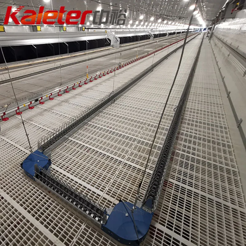 Broiler Parent Stock Breeder Automatic House Feeder Line Chicken Farm Equipment Hens Poultry Chain Feeding System