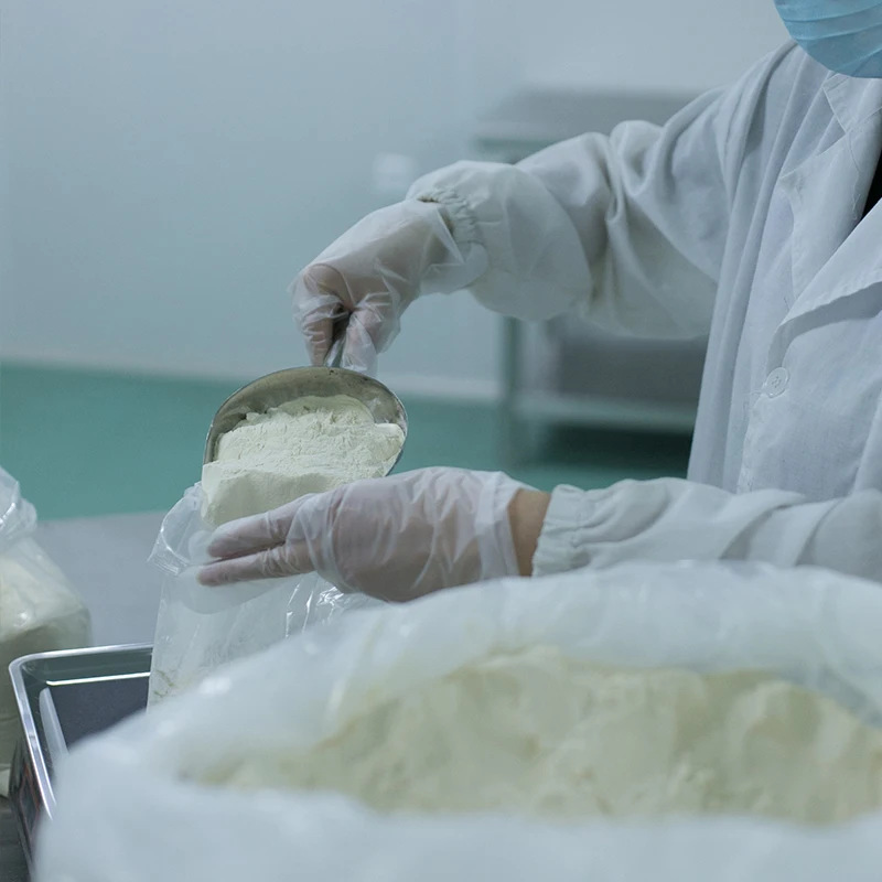 Top Grade Hyssop extract Hyssop officinalis powder good price