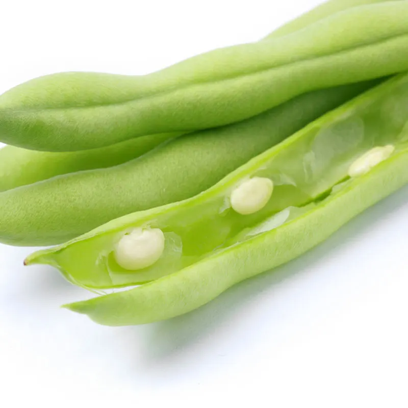 
2020 Hot Sale Green Bean French Bean Seeds  (62470898592)