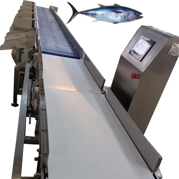 Ruizhi seafood scale belt-type big fish tuna 7 grades weight grading machine for sale