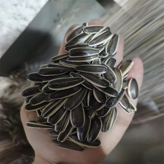 361 363 601 chinese Sunflower Seeds new crop sunflower seeds kernels