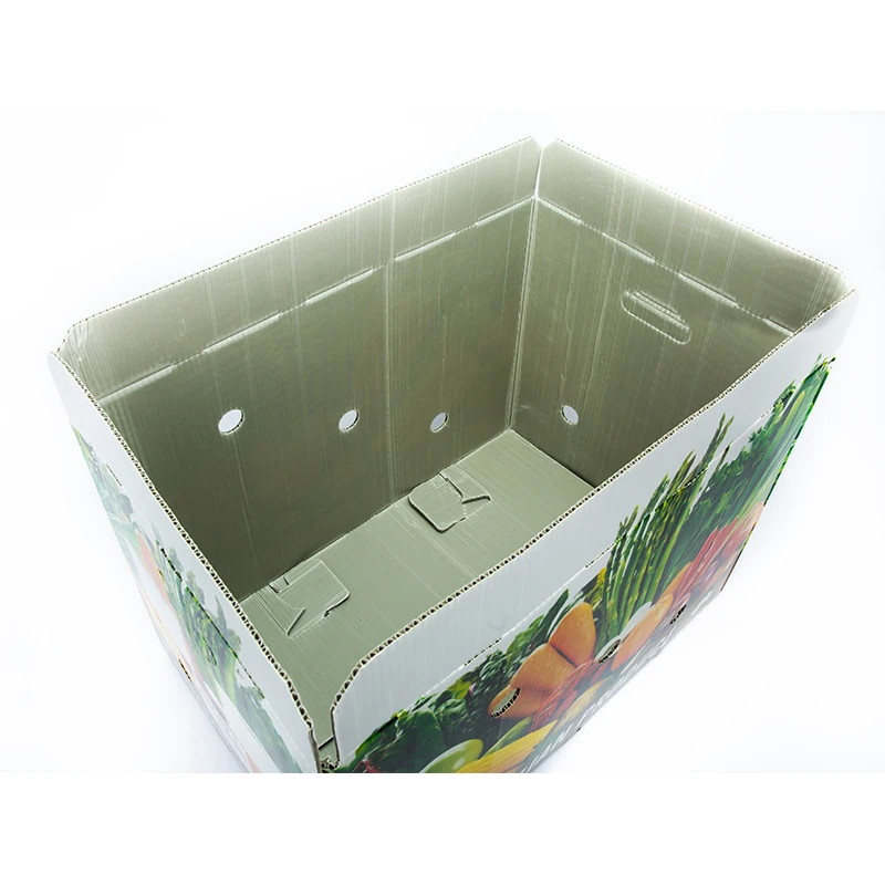 Vegetable Boxes 62L Customized Fruit /Vegetable Packaging Corrugated Plastic Box Corrugated Storage PP Packing Boxes