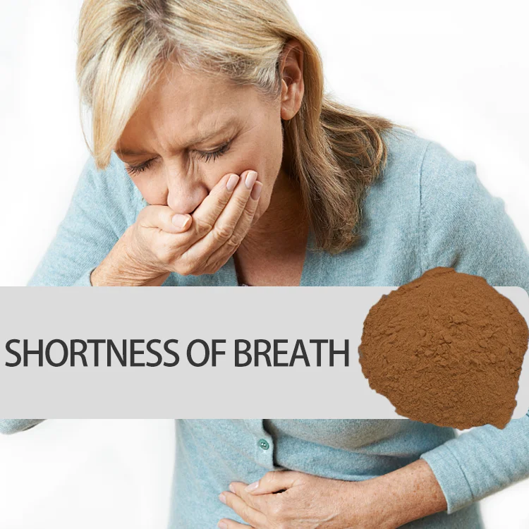 factory manufacturers supply fresh pure best quality extract dried patchouli powder