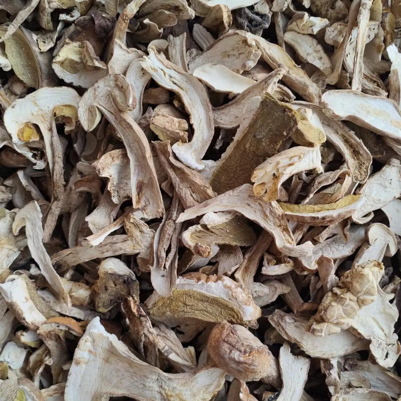 Chinese Dried Boletus Edulis Dry Boletus Mushrooms Boletus Edulis