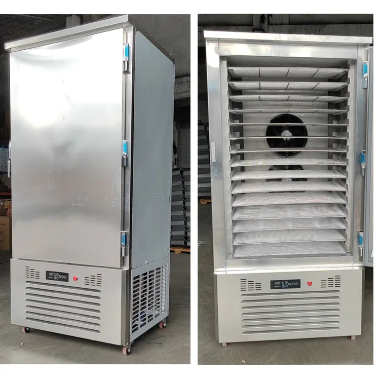 Professional Quick Freezer 15trays Blast Freezer CE approved Good quality stainless steel commercial blast chiller -40C for fish