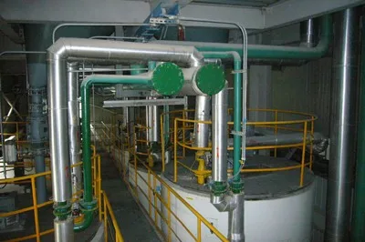 Pine Seeds Almonds Olives Walnuts Camellia Seeds Macadamia Nuts Cold Oil Press Machine