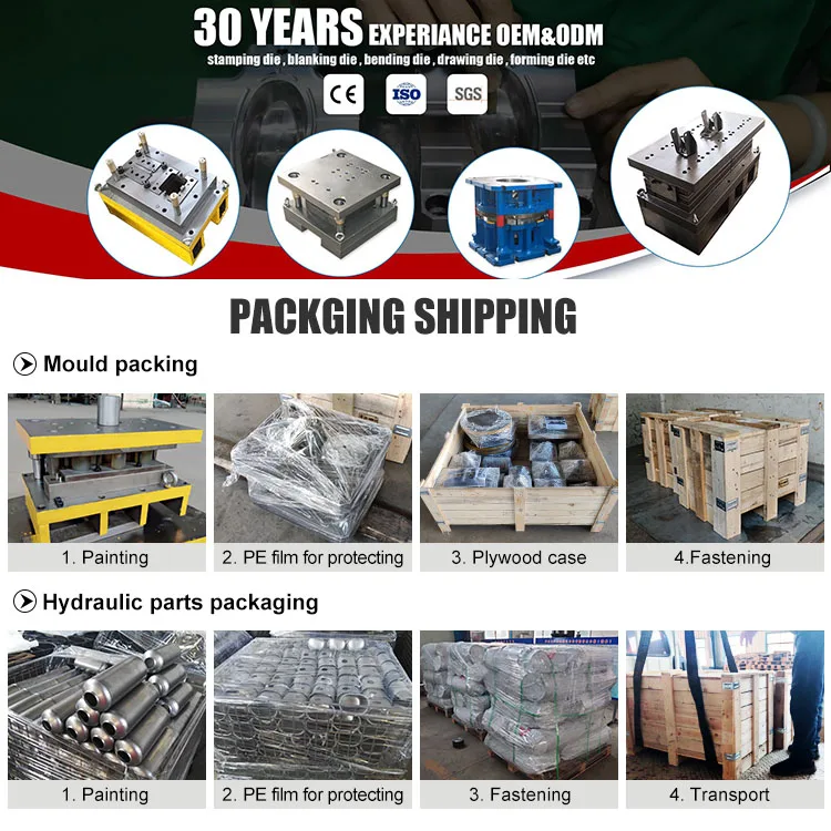 Custom Precision Stainless Steel Progressive Die Sheet Metal Washing Machine Stamping Die