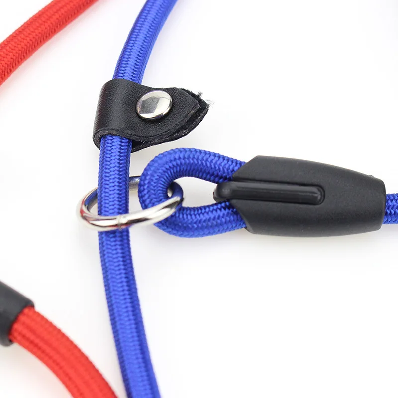 Factory Wholesale Nylon Dog Leash Durable Pet Leash P Chain Dog Walking Leash