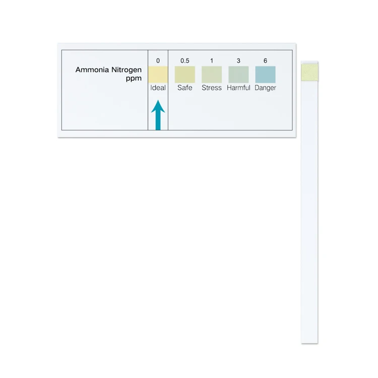 Ammonia test strips fish tank aquarium test kit