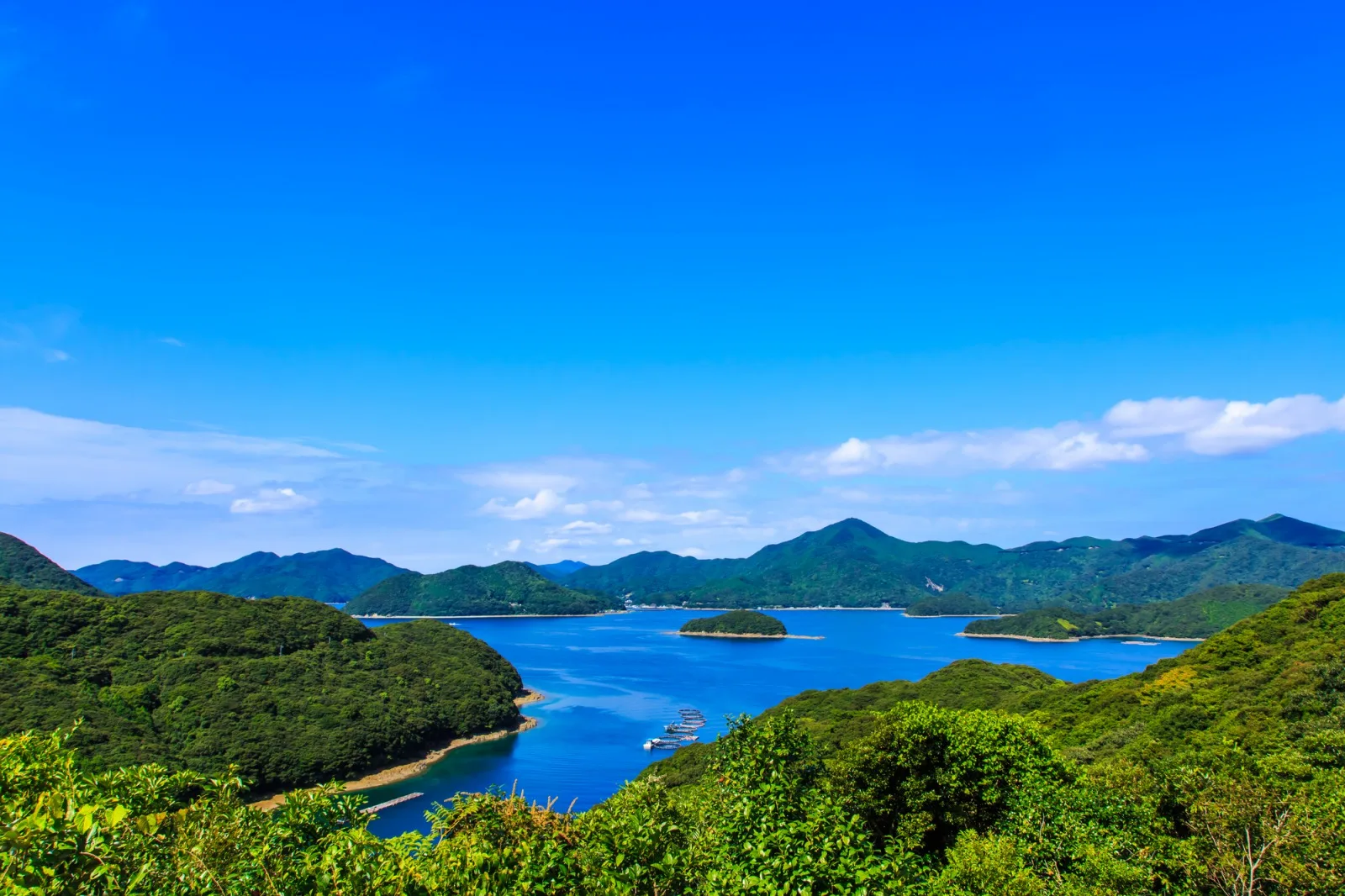 Popular healthy flying fish broth bottle healthy japan vinegar