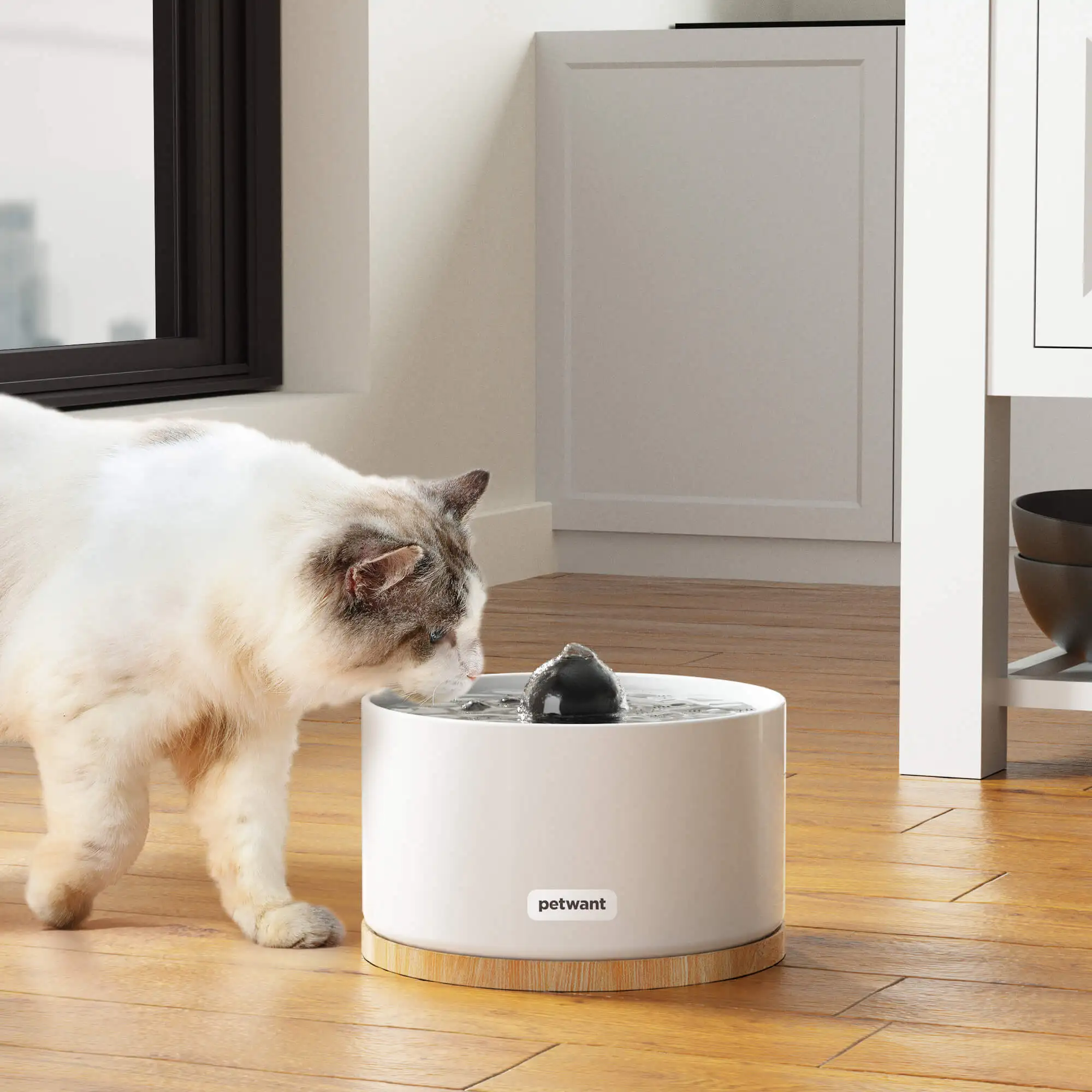 Petwant OEM ODM 2L Auto Ceramic Pet Self Drinking Dispenser Solid Wood Base Quiet Automatic Cat Water Fountain