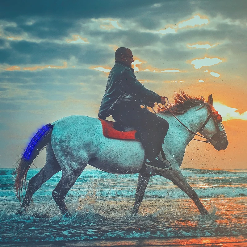 USB hot selling Bright LED flashing Horse Tail Light Lamp