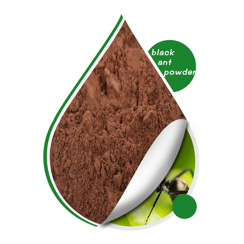 Wuhan Healthdream Wholesale  Best Price  Food Grade Black Ant Extract Powder 10:1 Suppliers Directory For OEM Capsule Tablet