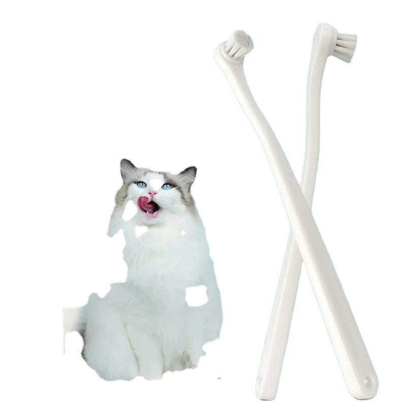 Wholesale Low Moq Pet Dog Toothbrush And Toothpaste cleaning sets