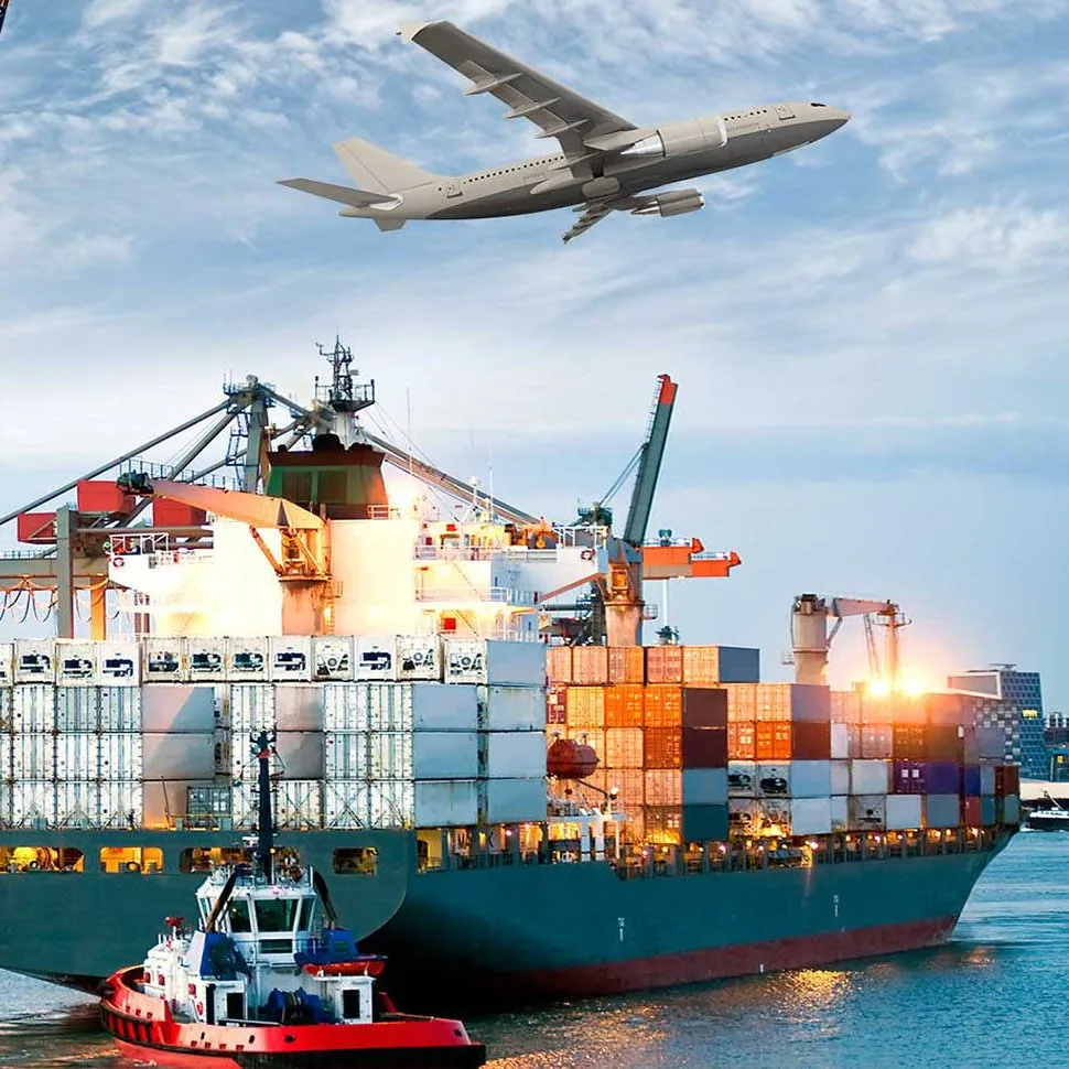 Drop Sea Freight Shipping Service Door to Door Service China to Indonesia Malaysia Singapore
