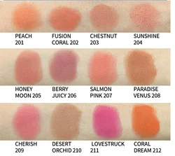 Professional Private Label Long Lasting Brighten Concealer Makeup Blush Rouge Powder Matte Blusher Cheek Tint