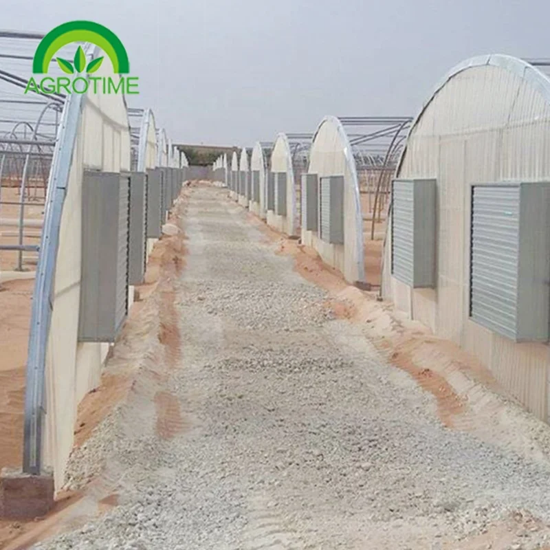  high-efficiency glasshouse agricultural production greenhouse Economical for