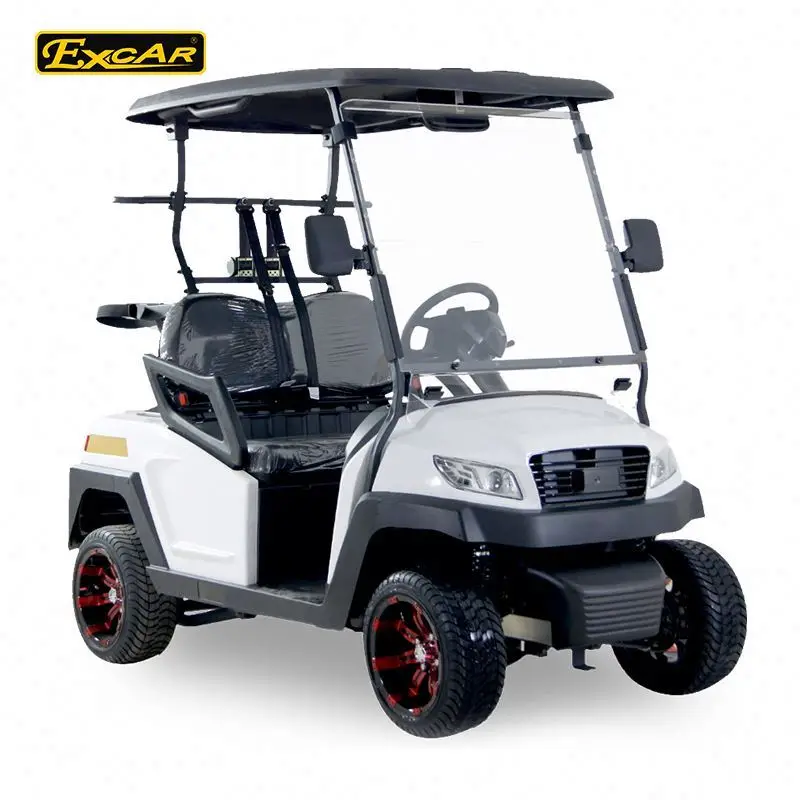 Company 2 seats electric golf shuttle buggy