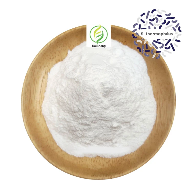 Bulk Food Grade Probiotics Powder Streptococcus Thermophilus