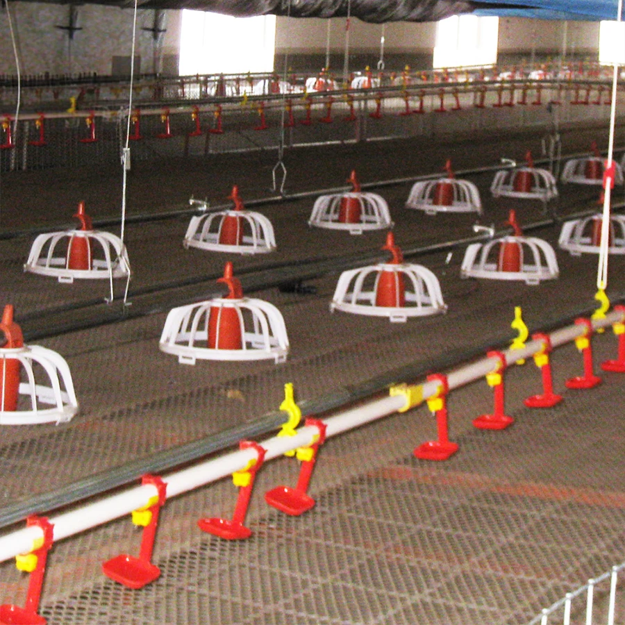 Farming Equipment automatic chicken feeders and drinkers nipple drinkers feeding line system for chicken coop/ poultry