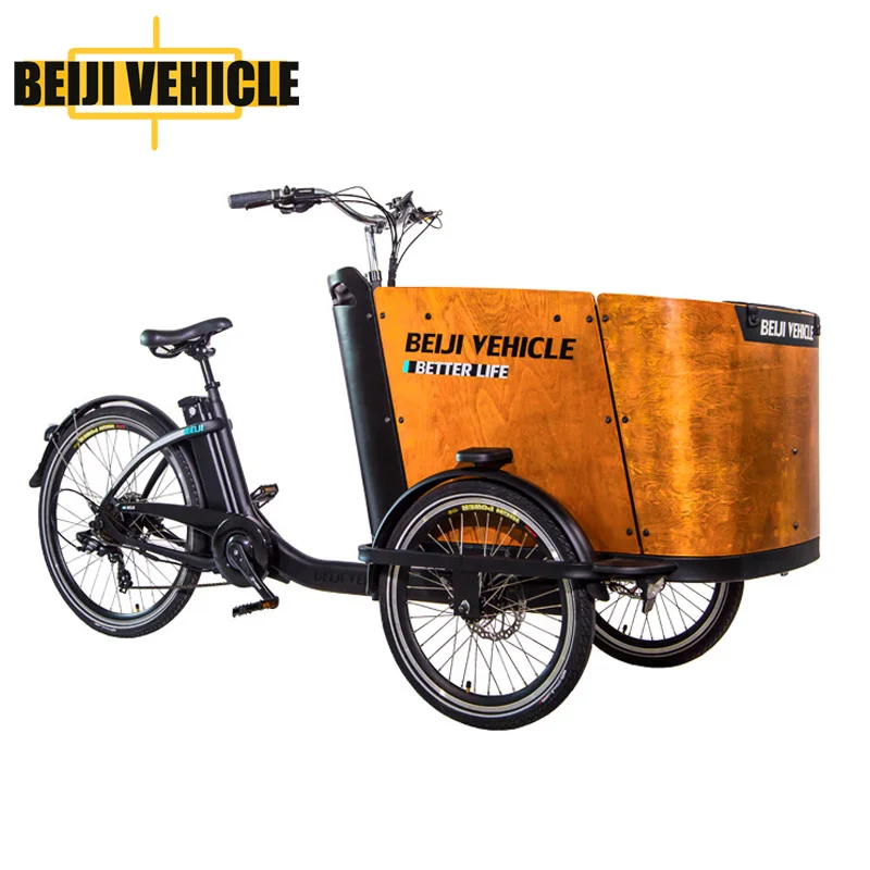 adult 3 wheel cargo bike bicycle cargo ebike tricycle with two front wheels