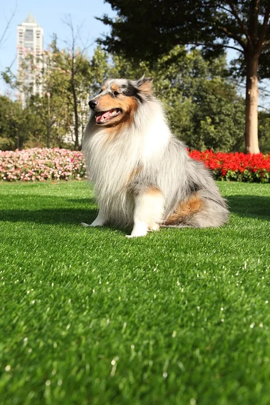 pile height  artificial turf of landscaping for swimming pool