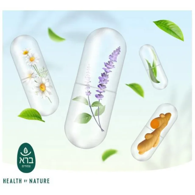 CranBiotic Cranberry Probiotic Capsule OEM for Infectious infections of the urogenital system Helicobacter Pylori