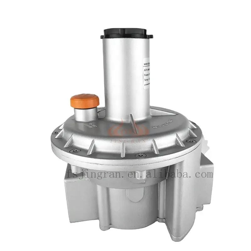 Pietro Fiorentini flange natural gas pressure stabilizing valve Wholesale customization