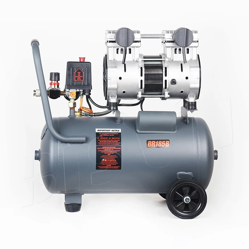 Bison China Oem 1kw 0.7mpa 24 Liter Low Noise Oil Free Air Compressor Silent 50db
