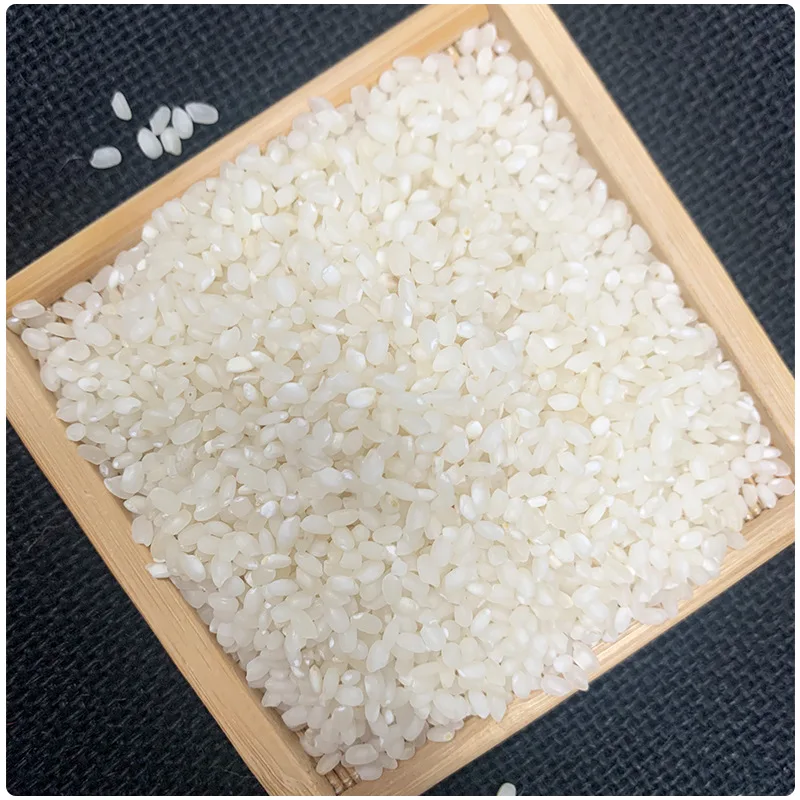 Top Selling Best Broken Rice China Supplier Of Rice sale At Best Price