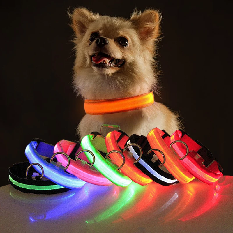 luxury good price led light pet waterproof personalized customizable usb rechargeable led dog collar