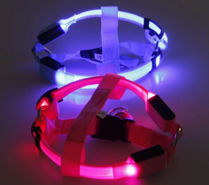 Дизайнерский собачий ошейник