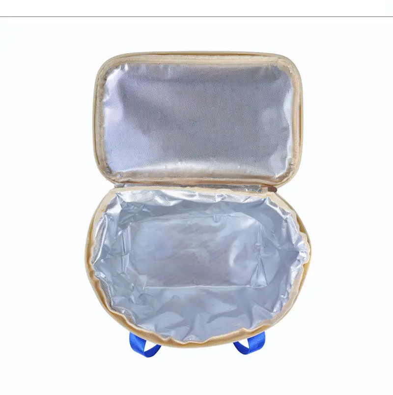 Reusable portable Cheap oxford Insulated lunch Bag leak proof thermal reusable lunch bag for 12 cans Coke for travelling