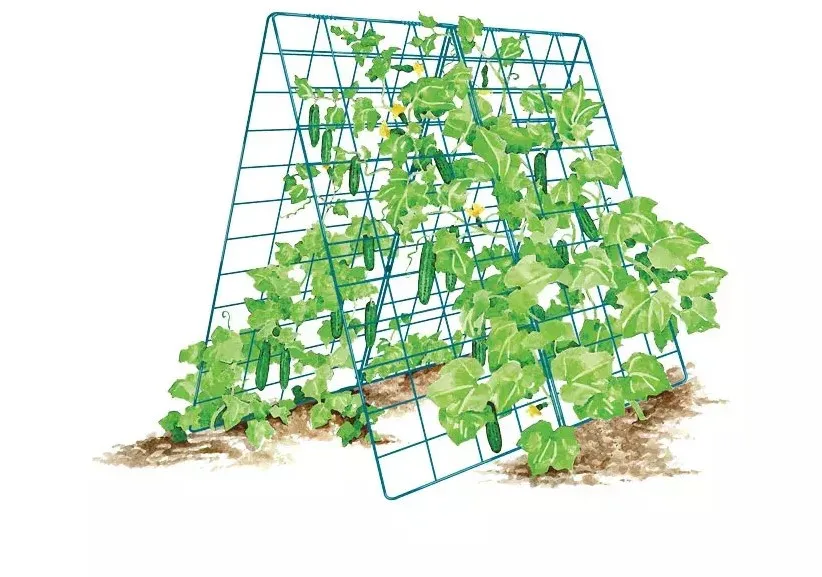 Large Cucumber Trellis metal  iron welded panels  A-Frame Garden plant Trellises