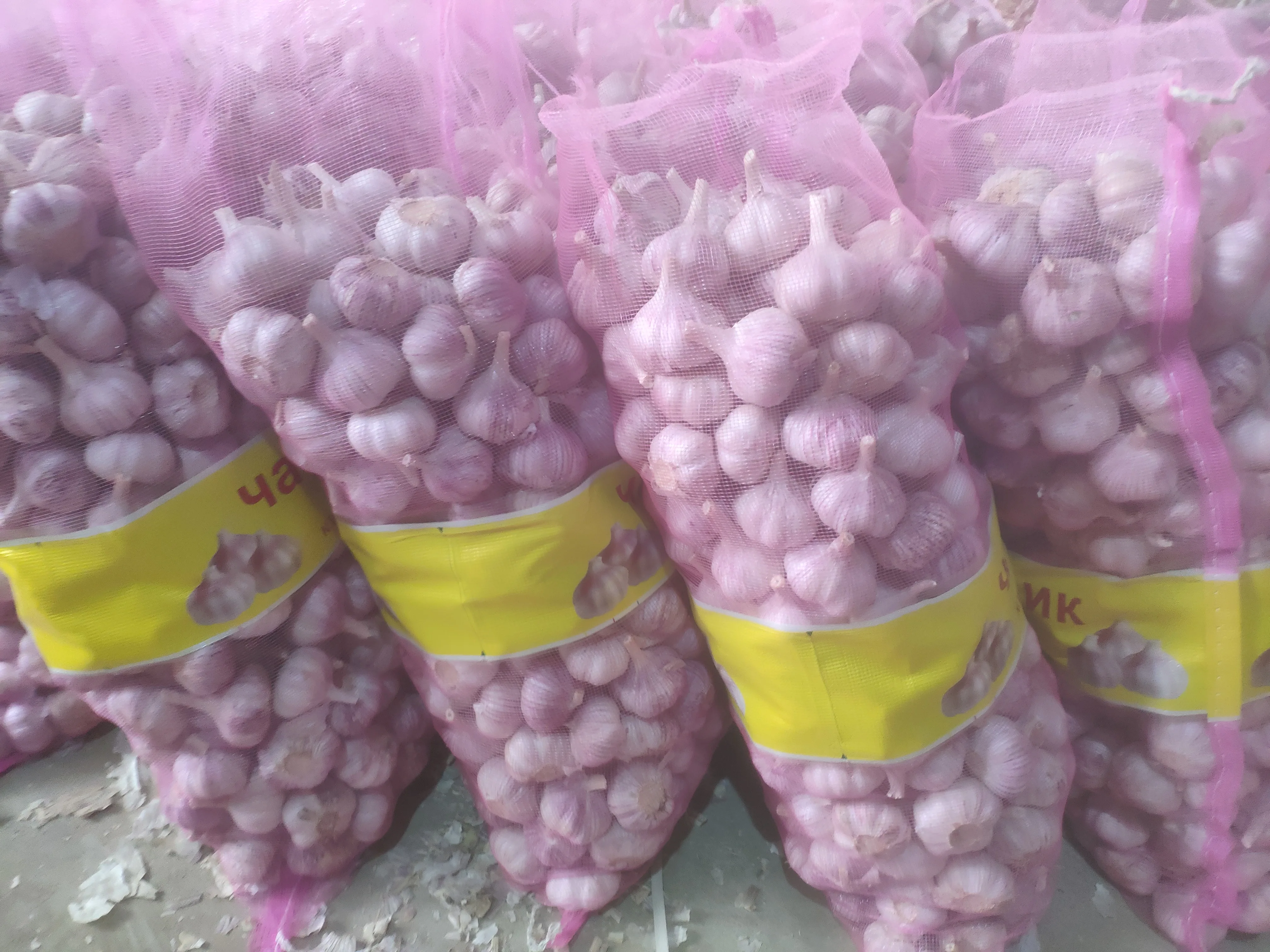 Chinese fresh normal white garlic fresh vegetables and pure white garlic for export