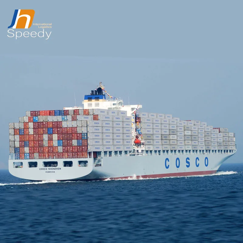 freight forwarder agent express services cargo ship from china to Netherlands and fast shipping
