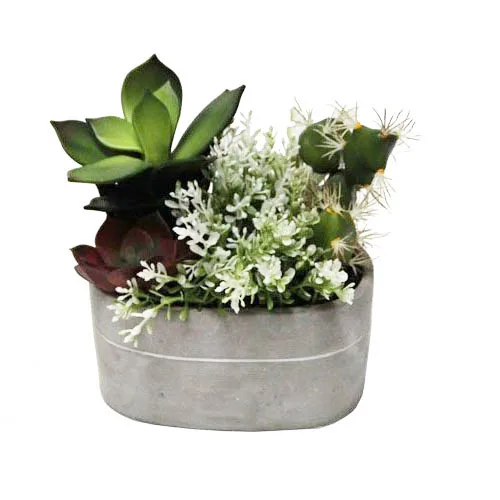 Succulents Potted Indoor echeveria succulent artificial plants and succulents