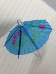 Wholesale Disposable Wooden Decorative Umbrella Picks Fireworks Food Picks