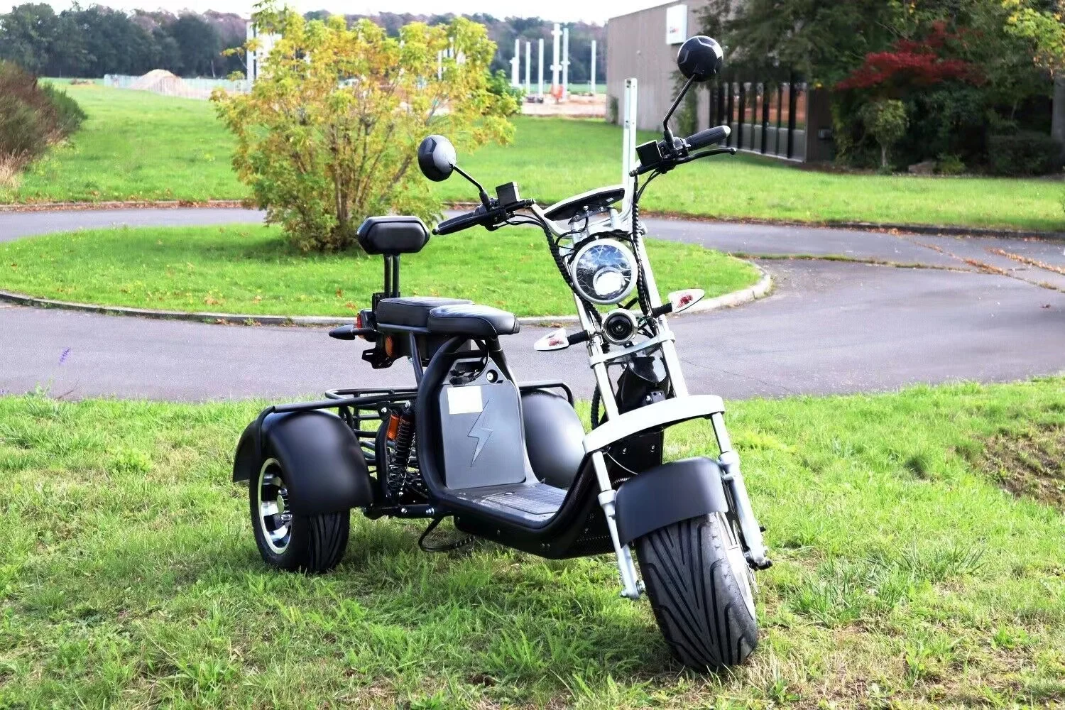 Adult citycoco three wheel electric scooter EU stock with rear basket 1500w 45km/h Netherlands Poland in stock