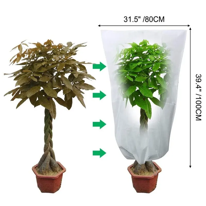 NBI Polypropylene Degradable Spunbond Non Woven Agriculture Plant Cover Frost Winter Cold Weather Plant